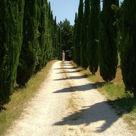 B&B Il Grotto Bevagna Dış mekan fotoğraf