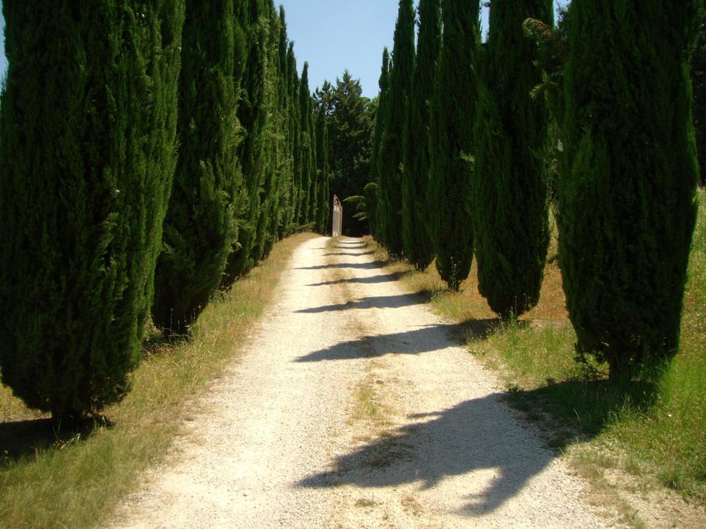 B&B Il Grotto Bevagna Dış mekan fotoğraf