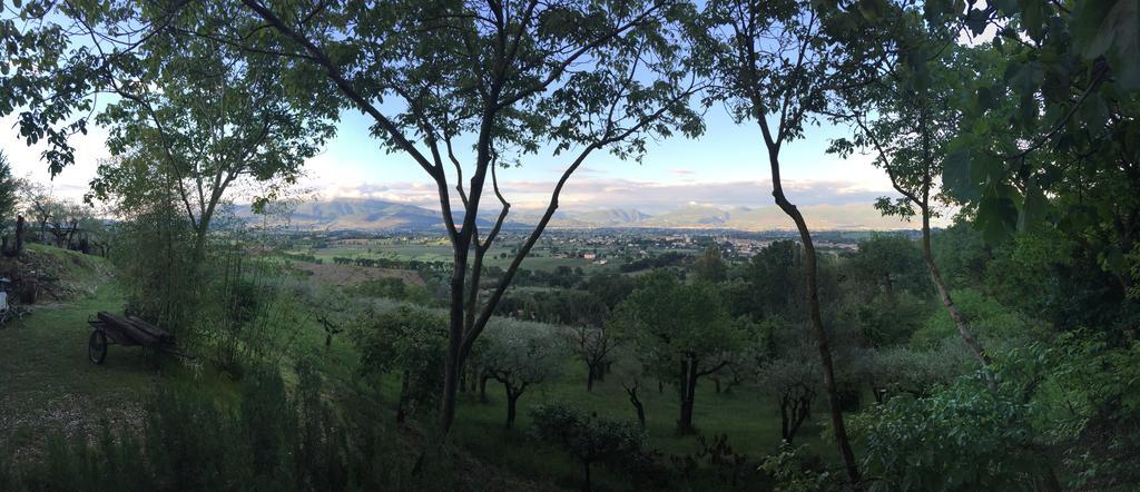 B&B Il Grotto Bevagna Dış mekan fotoğraf