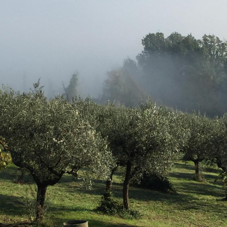 B&B Il Grotto Bevagna Dış mekan fotoğraf